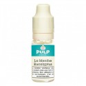 e liquide menthe eucalyptus pulp